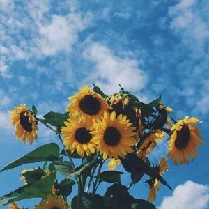 Meet your Posher, Abbey